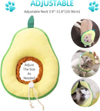 Cat wearing the Frienda adjustable recovery collar demonstrating comfortable eating.