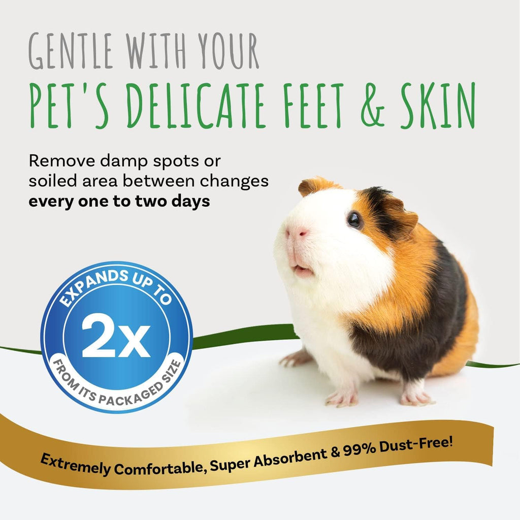 Small Pet Select low dust wood shavings close up