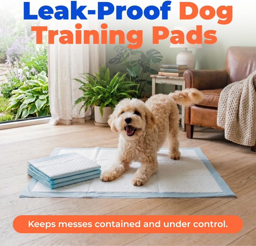 Extra large dog pee pads laid out on living room tile floor