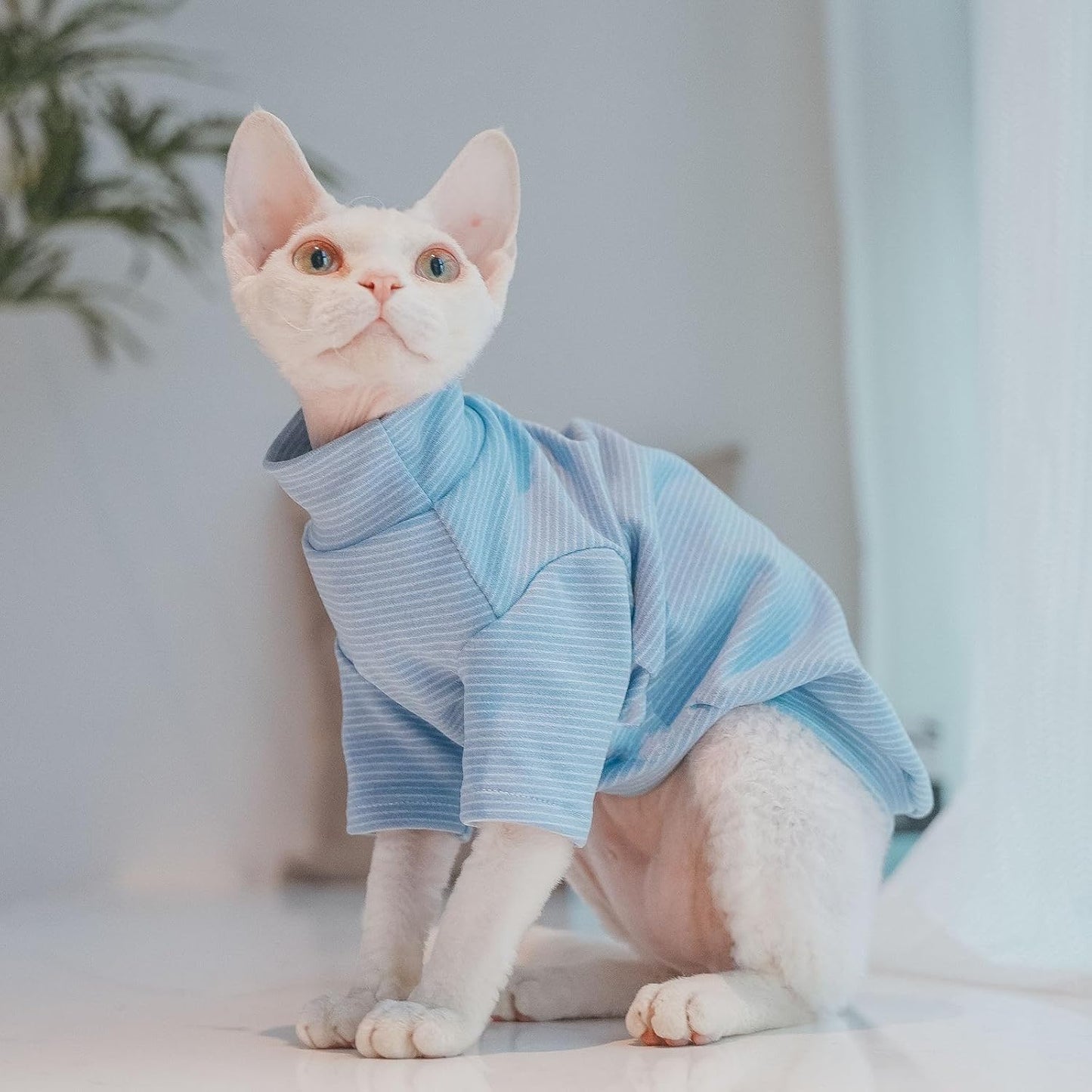 Small kitten wearing blue pinstripe thermal fleece undershirt