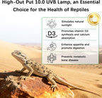 Desert reptile light bar installed inside a bearded dragon enclosure