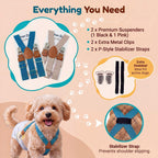 Two pack of anti slip pet diaper suspenders for small dogs in heat