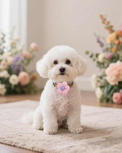 PET SHOW soft cotton floral pet accessories for cats and small dogs