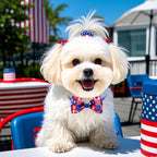 A complete set of imported holiday pet costumes and grooming ties for festive events.