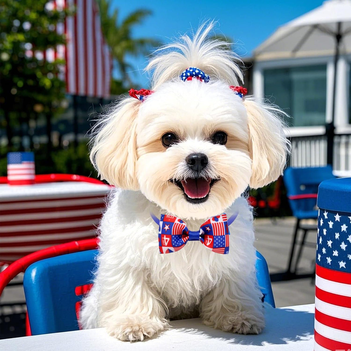 A complete set of imported holiday pet costumes and grooming ties for festive events.