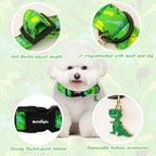 Durable metal buckle and D-ring on dinosaur dog collar