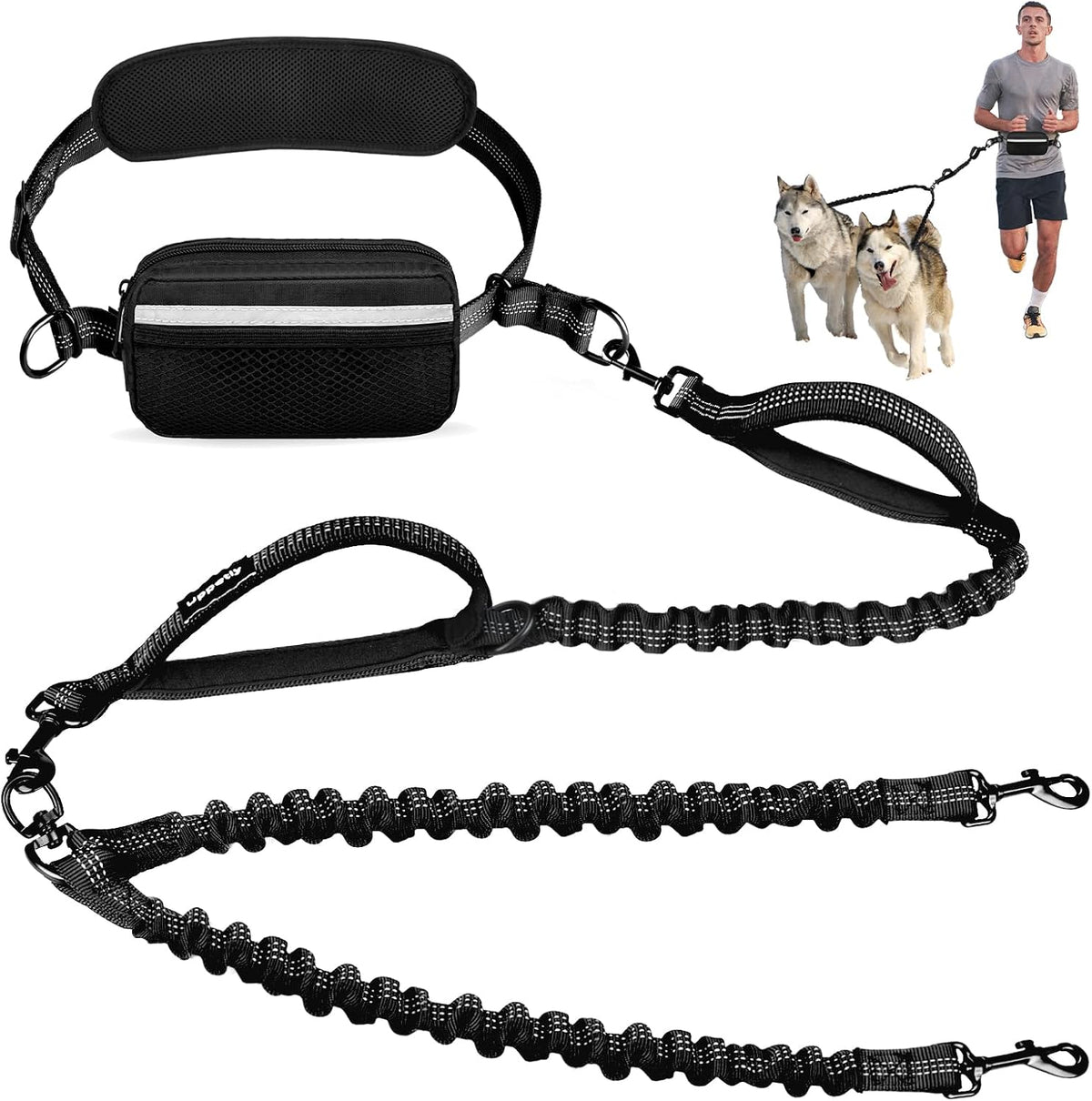 Uppetly hands free double dog leash front view showing the padded lumbar waist belt and dual bungee attachments.