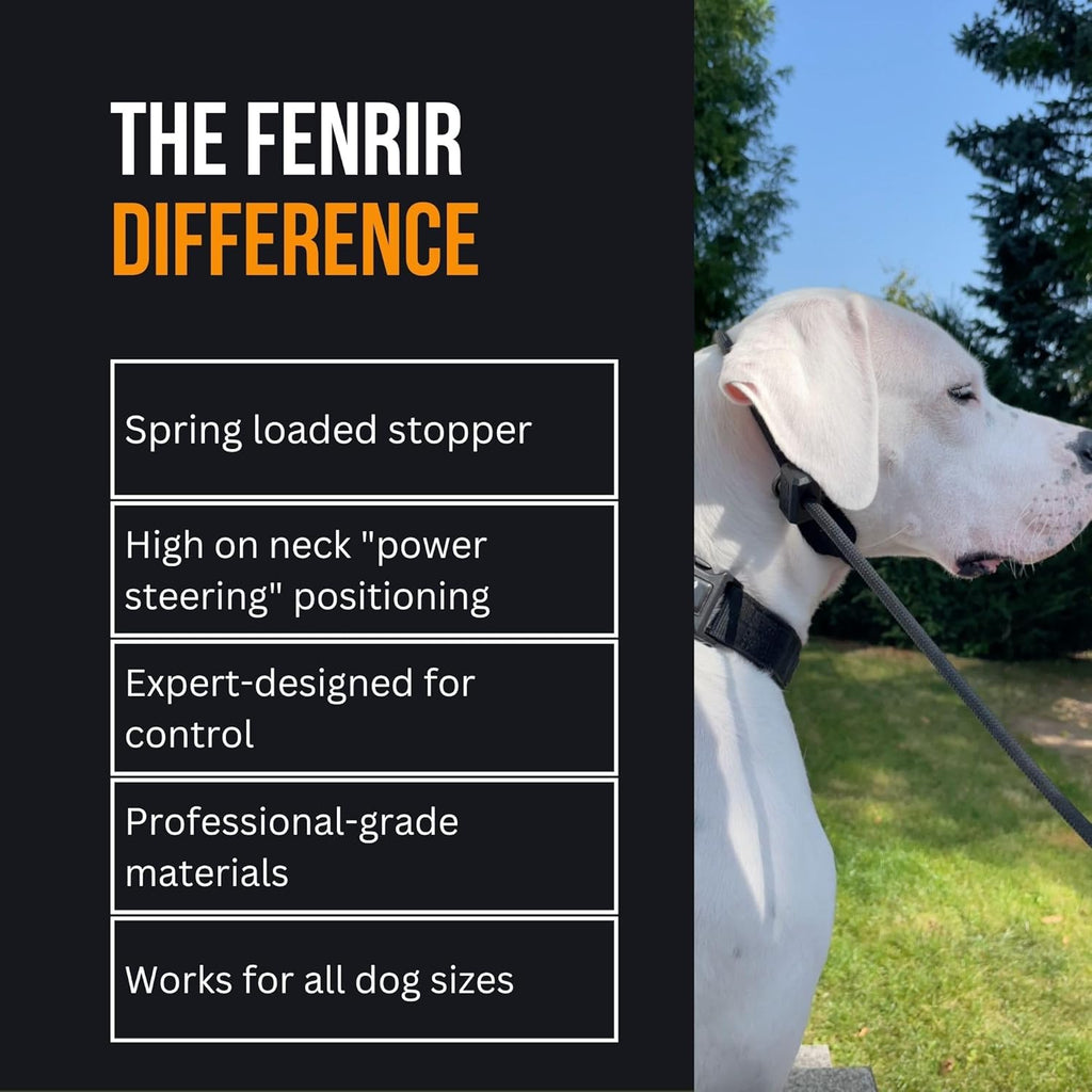 Premium imported Fenrir slip lead stainless steel hardware close up
