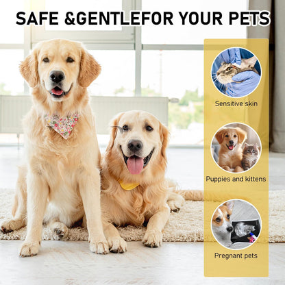 Fast acting non greasy pet hot spot treatment liquid close up view.