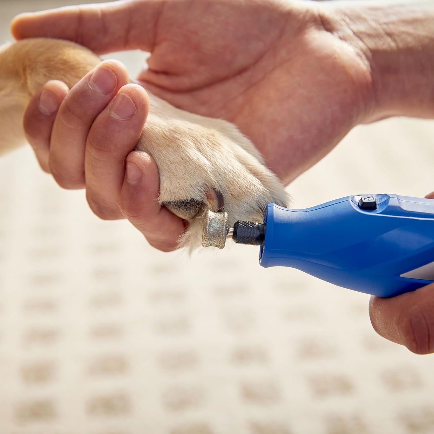 Side profile of Dremel 416HP grooming accessory