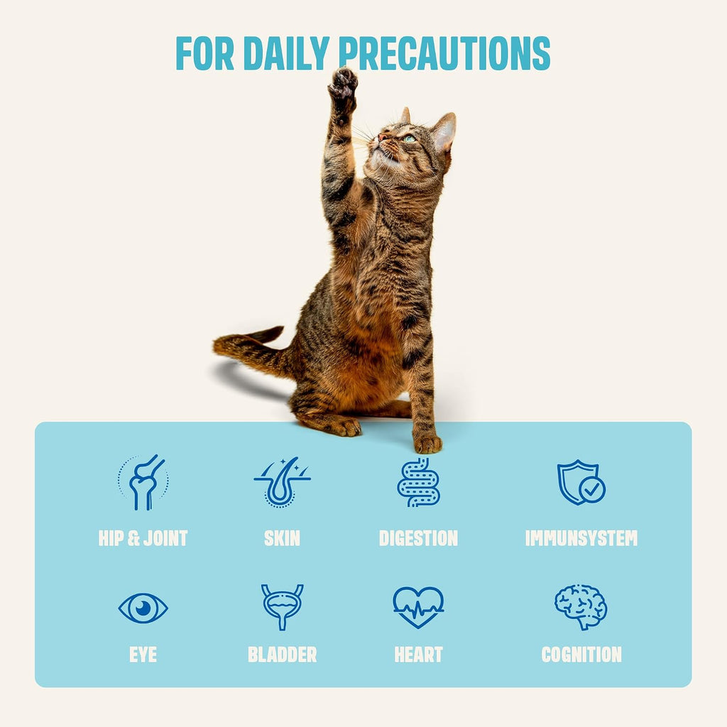 Ivvi cat multivitamin paste with L-Lysine and taurine ingredients graphic