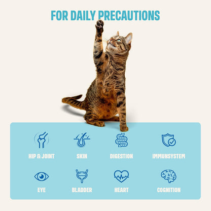 Ivvi cat multivitamin paste with L-Lysine and taurine ingredients graphic