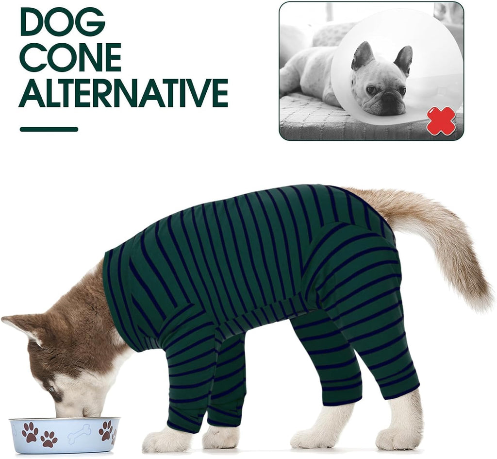 Kuoser anti licking snugly suit worn by a medium dog as a cone alternative.