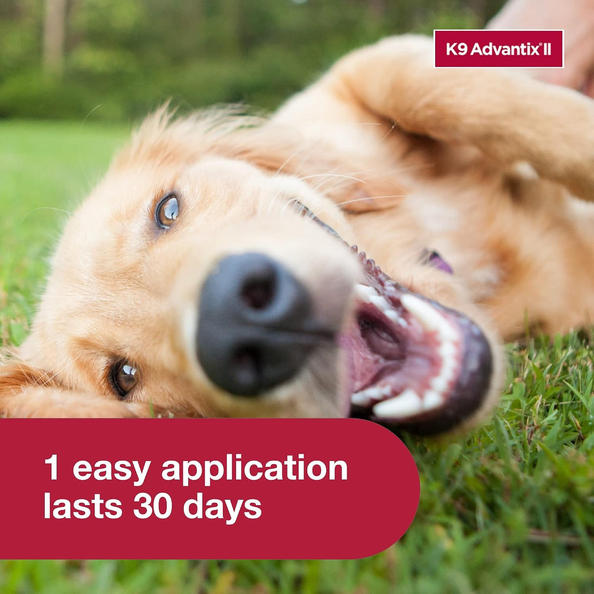 Veterinarian recommended pest control drops for medium and large dog breeds showing contact action.