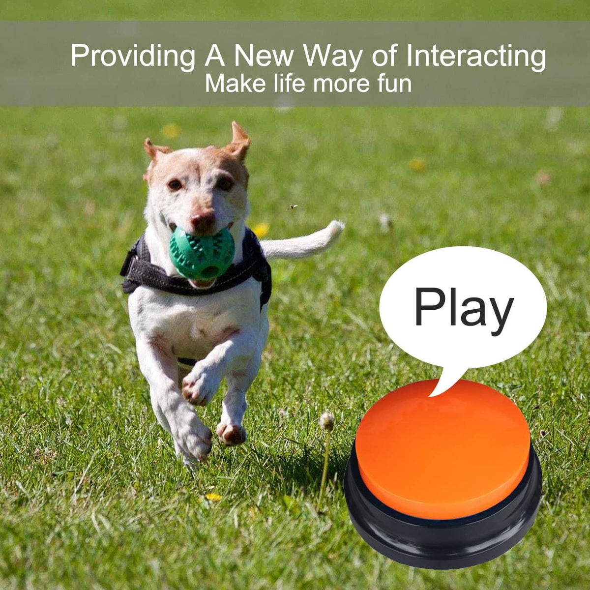 Generic brand pet training buzzer set in retail packaging