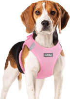 rabbitgoo Small Dog Harness, Step-in Easy On Soft Light Puppy Vest with Breathable Mesh for Walking, Safe Reflective Pet Harness for Small Sized Dogs, Navy Blue S - Image 11