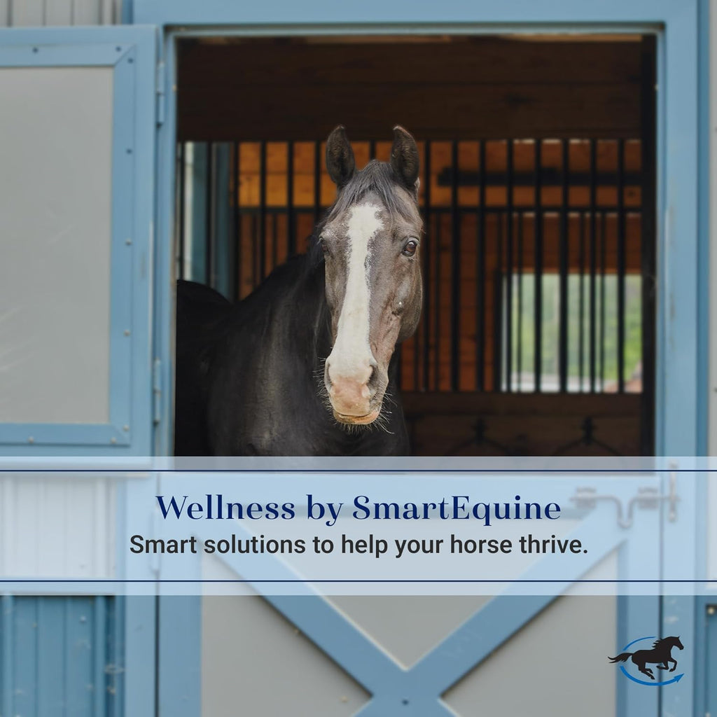 SmartPak fly boots for horses showing the comfortable elasticized edges and stitch detailing.