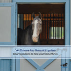 SmartPak fly boots for horses showing the comfortable elasticized edges and stitch detailing.