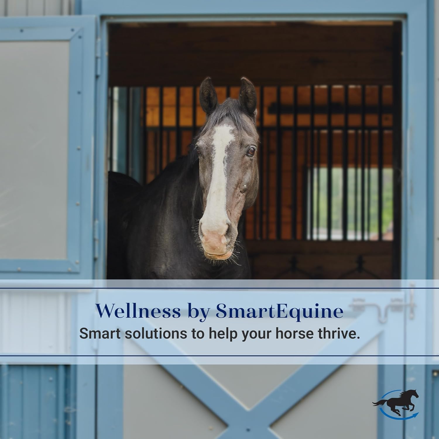SmartPak fly boots for horses showing the comfortable elasticized edges and stitch detailing.
