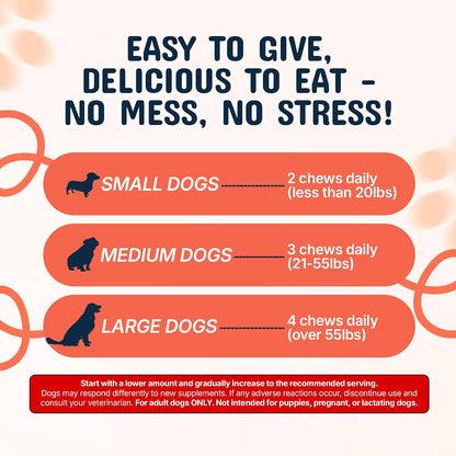 Premium 8 to 1 organic turkey tail mushroom extract soft chews for canine health.