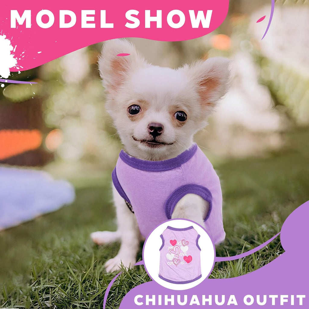 Extra small XXS pet clothing set flat lay