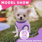 Extra small XXS pet clothing set flat lay