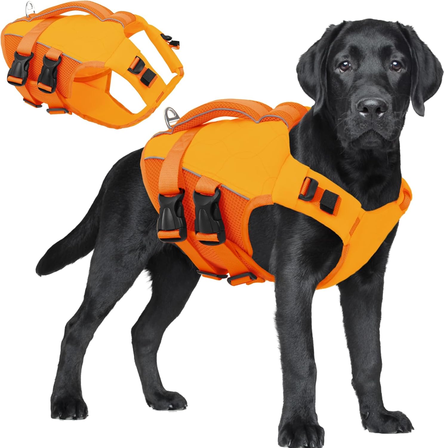 ASENKU Dog Life Jacket, High Floatation Dog Swimming Vest with Rescue Handles for Small Medium Large Dogs, Pet Safety Swimsuit Preserver for Pool Beach Boating (LakeGreen, L) - Image 10