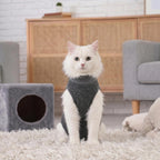 Protective abdominal wound shirt for neutered male cat