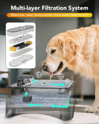 Top down view of Upsky stainless steel pet water tray
