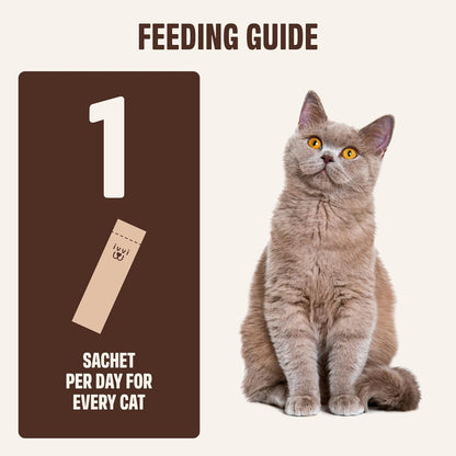 Ivvi indoor hairball control treats 15 grams individual single serve pouch