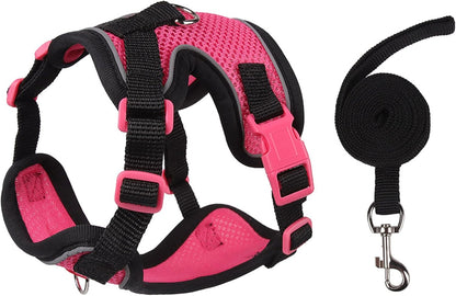 Cat Harness and Leash Set for Walking - Escape-Proof Reflective Vest for Cats and Small Dogs, Adjustable Soft Air Mesh with Pressure-Reducing Design, 4.92ft (Light Brown & Blue, L) - Image 10