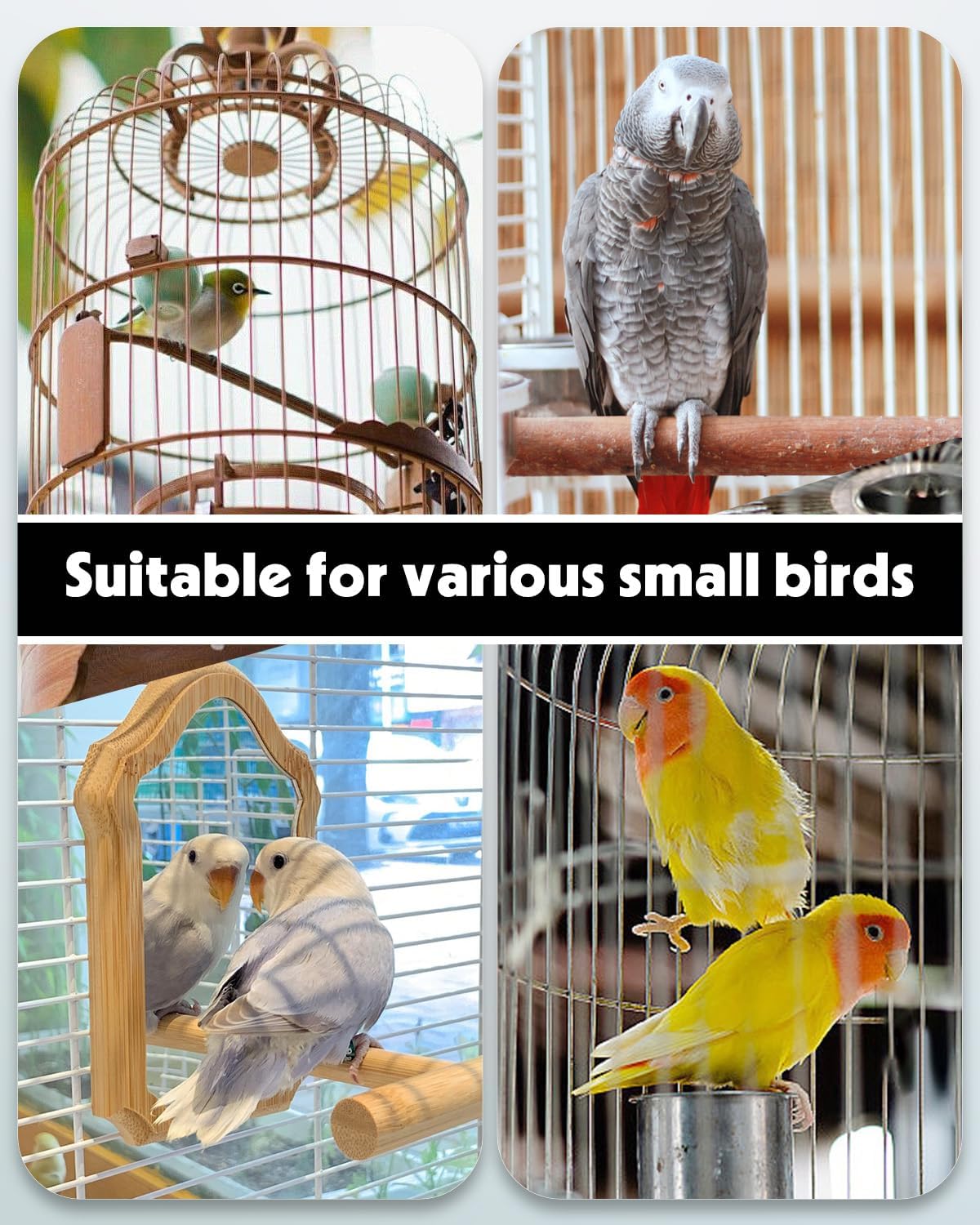 Parakeet drinking from Pawfly automatic cage water dispenser