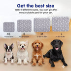Puppy standing on Kacitalone grey pee pad