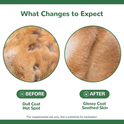 Back label of Vetriuntrix dog allergy supplement with details on probiotics colostrum and omega three.