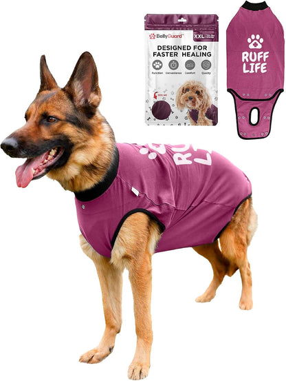 BellyGuard Dog Surgery Recovery Suit, Post-Op Dog Recovery Suit for Female Spay & Male Neuter, Comfy Onesie for Pets, Surgical Body Cover for Canine Healing Support - Image 9