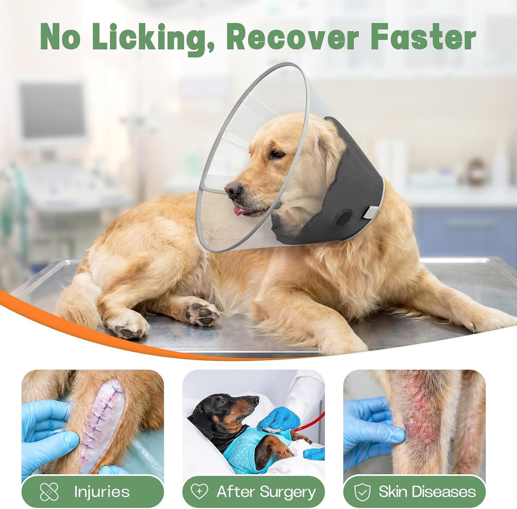 Joypig recovery cone showing transparent material for visibility