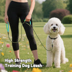 Comparison of XiaZ dog leash handles and thickness