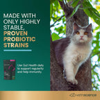 VetriScience cat digestive supplement 60 count pouch label