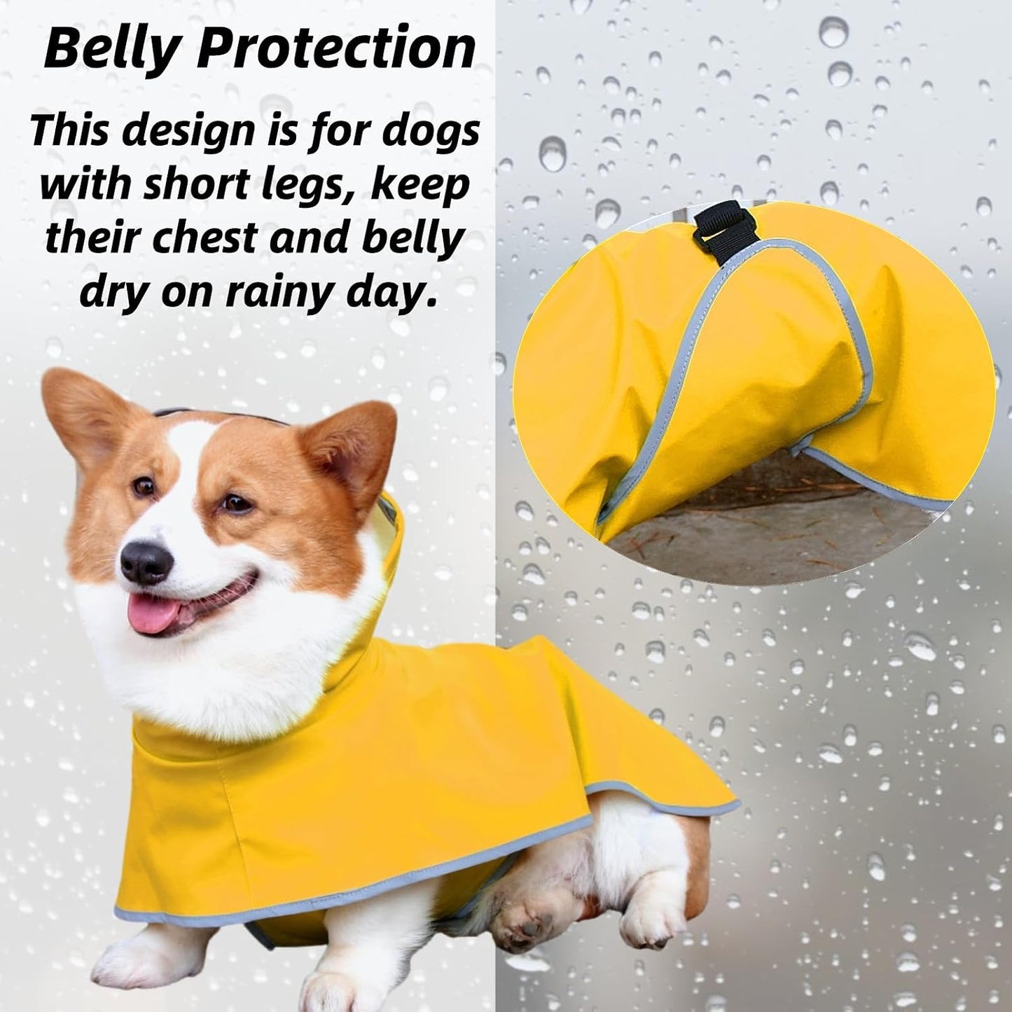Reflective dog poncho for night safety on medium breed dog
