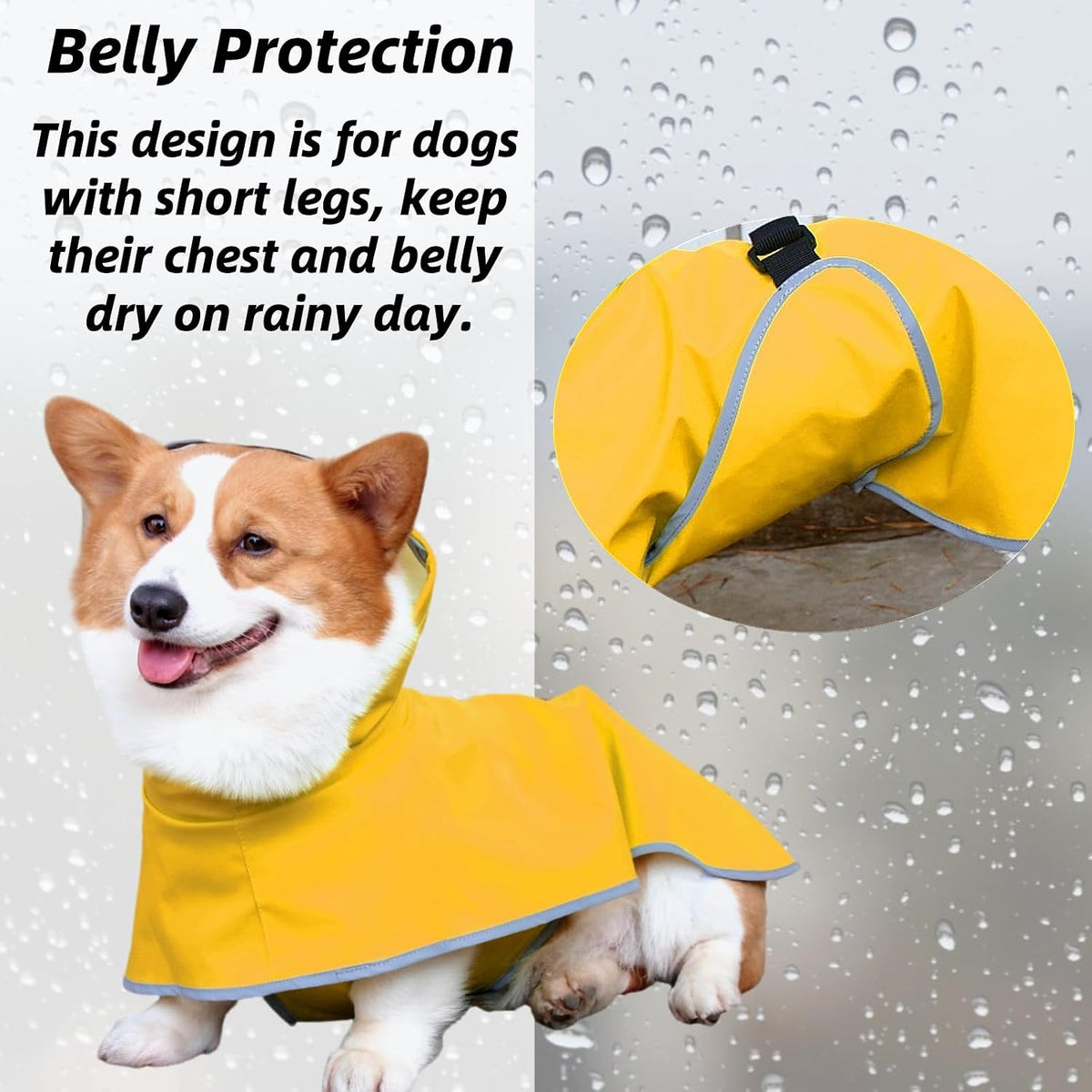 Reflective dog poncho for night safety on medium breed dog