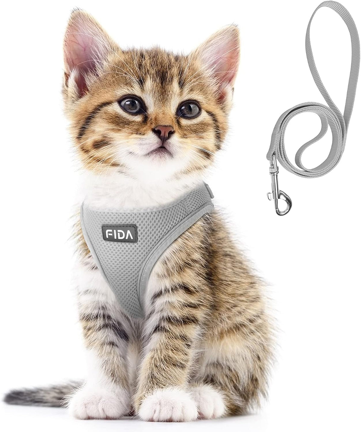 Fida Cat Harness and Leash Set for Walking Kitten and Puppy, Escape Proof Kitten Harness with Breathable Lightweight Soft Mesh, Adjustable Reflective Step-in Design. (XXXS, Green) - Image 15