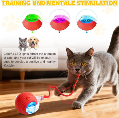 Petayouj USB rechargeable cat toy ball with flexible tail attachment for kittens.