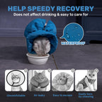 Leotrag lake blue pet recovery collar being hand washed for cleaning