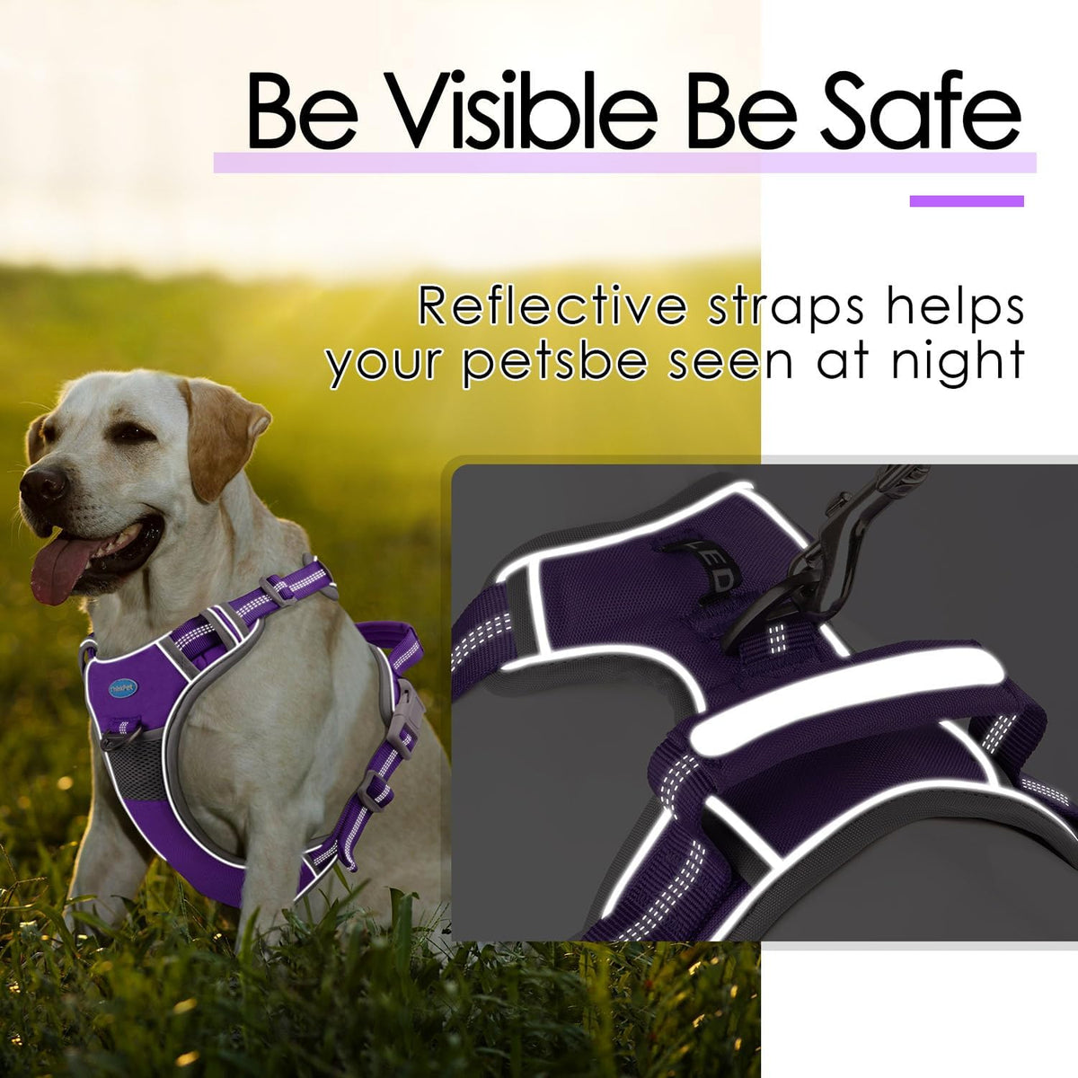 ThinkPet dog harness with metal D-ring for leash attachment