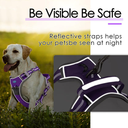 ThinkPet dog harness with metal D-ring for leash attachment