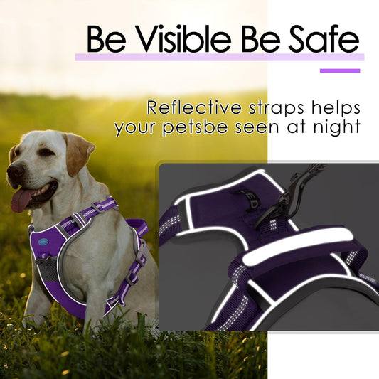 ThinkPet dog harness with metal D-ring for leash attachment