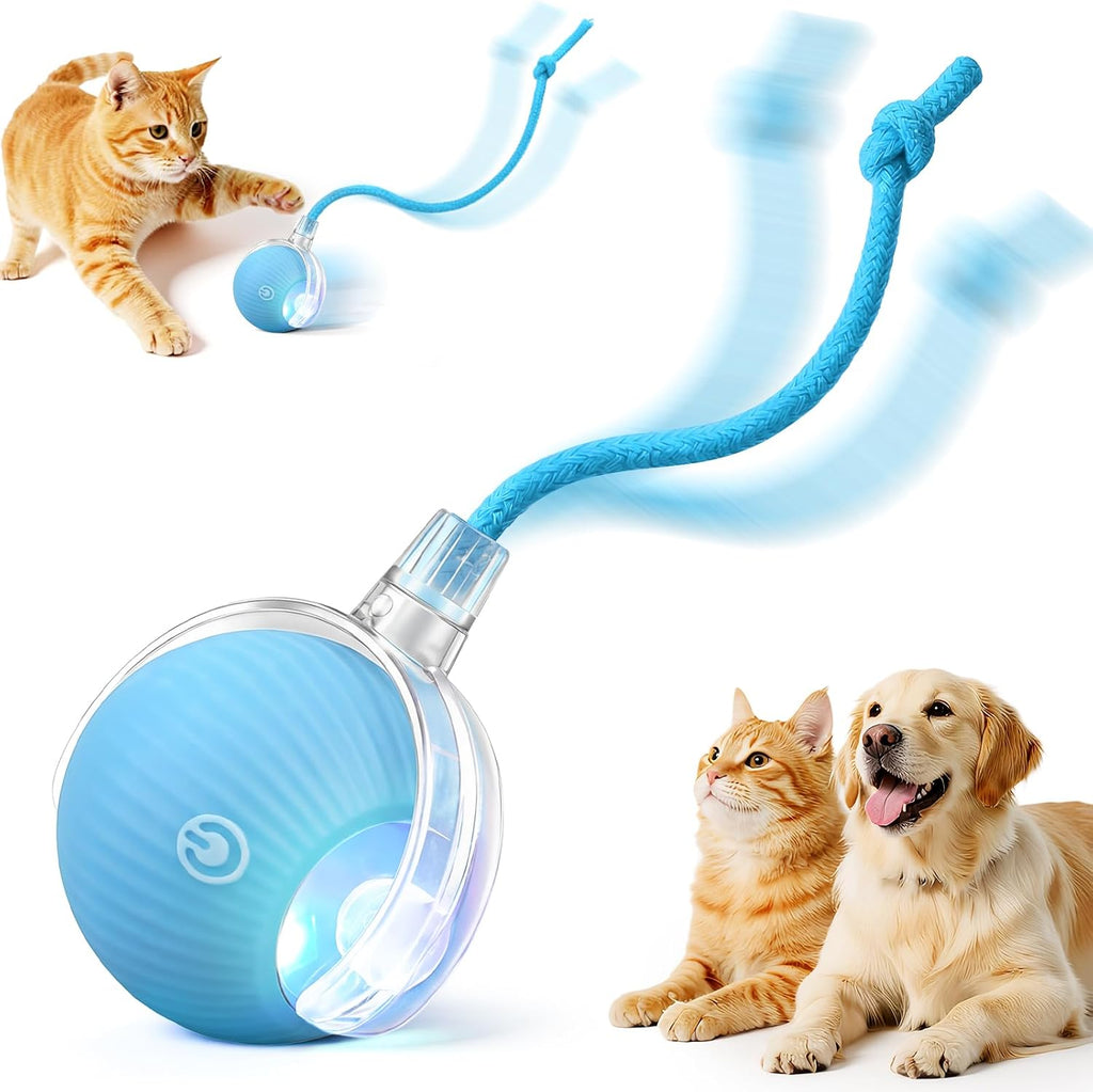 Packaging and contents of SilveWillo interactive pet ball