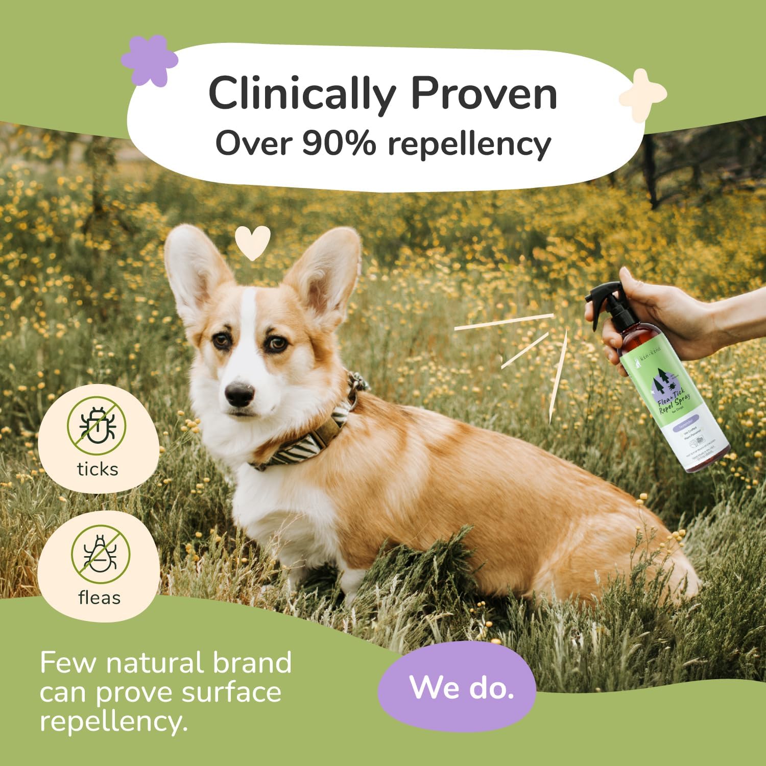 Close up of Kin+Kind dog coat spray label details