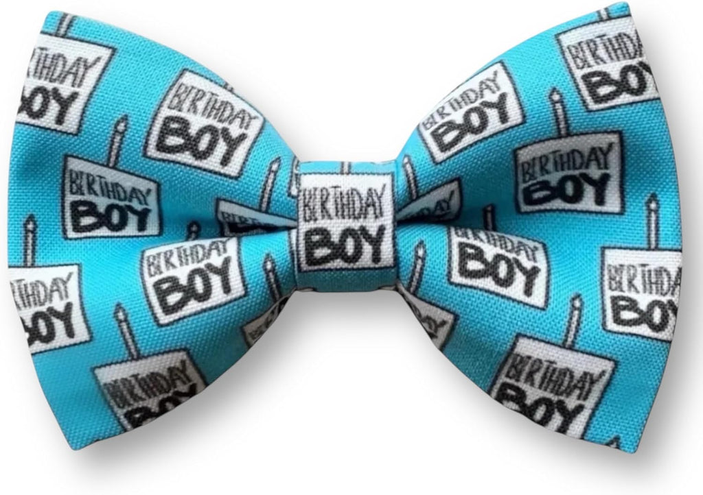The Bold Bow Tie machine washable elastic loop dog accessory