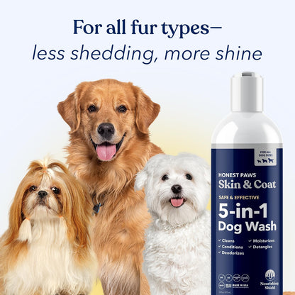 Honest Paws authentic USA imported premium dog wash sixteen fluid ounce bottle
